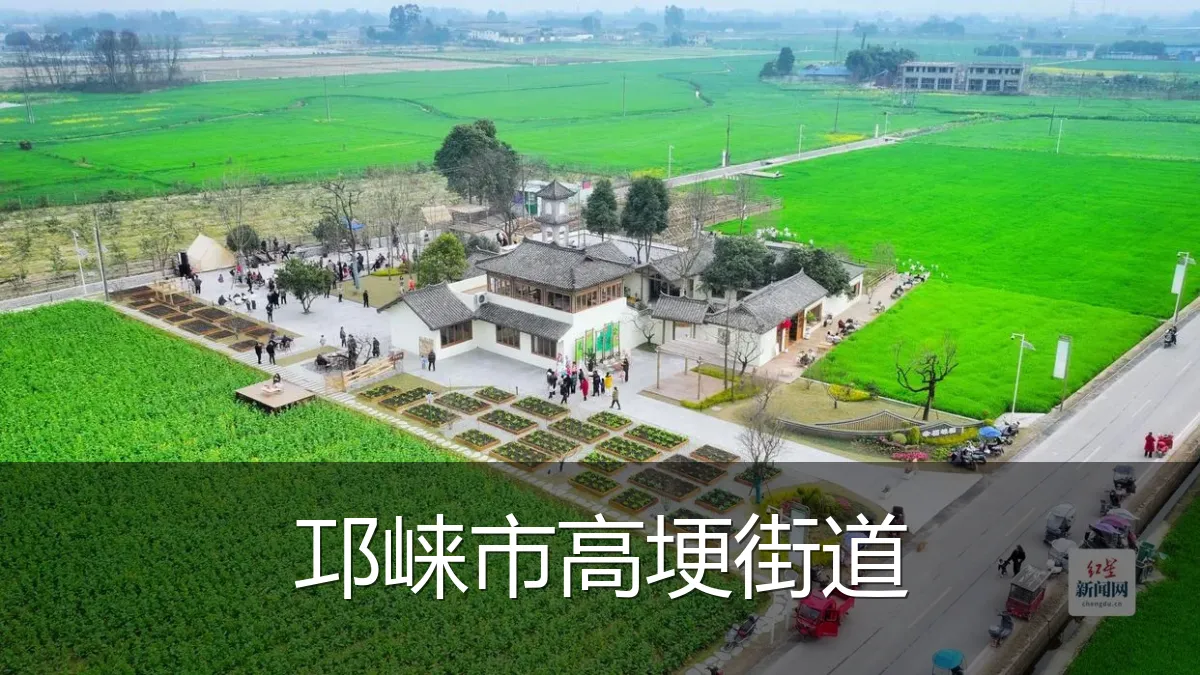 邛崃市高埂街道